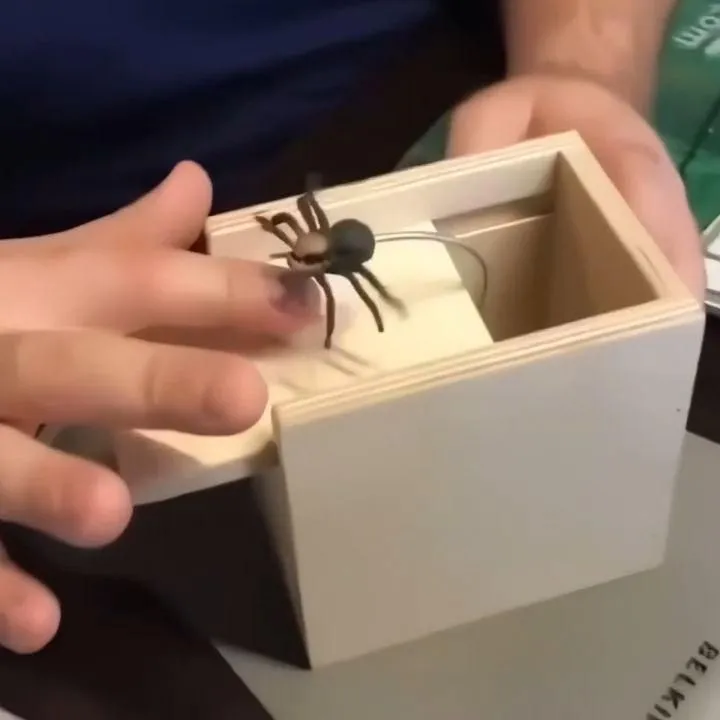17237 tarantula box prank image1