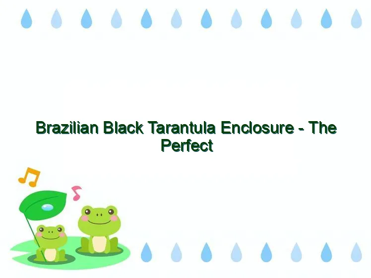 17248 tarantula enclosure decor