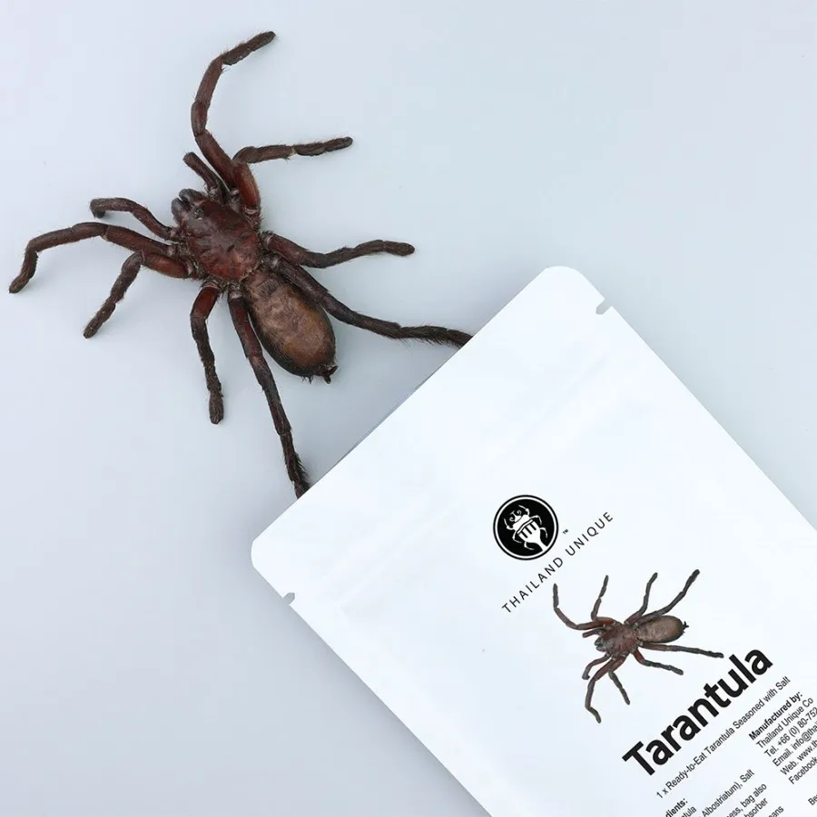 17254 tarantula frying