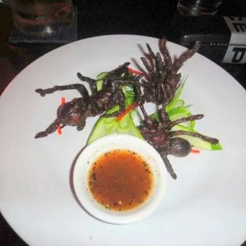 17254 tarantula roasting