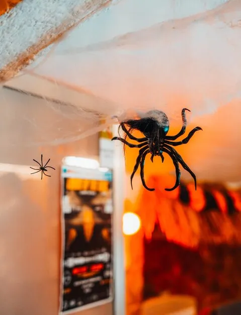 17256 tarantula size