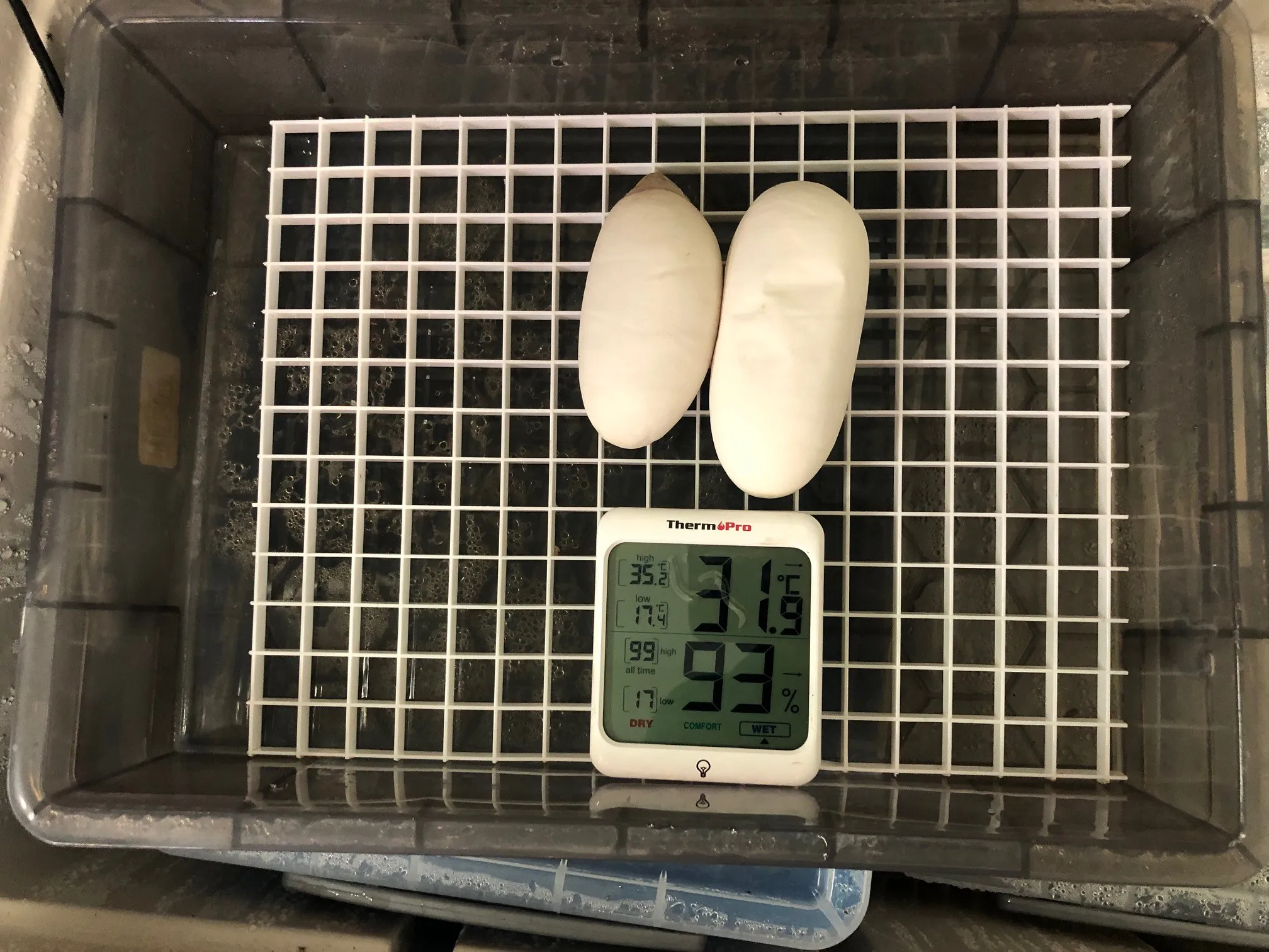 17280 heating source incubator