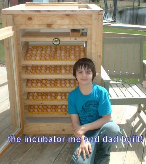 17280 incubator in use