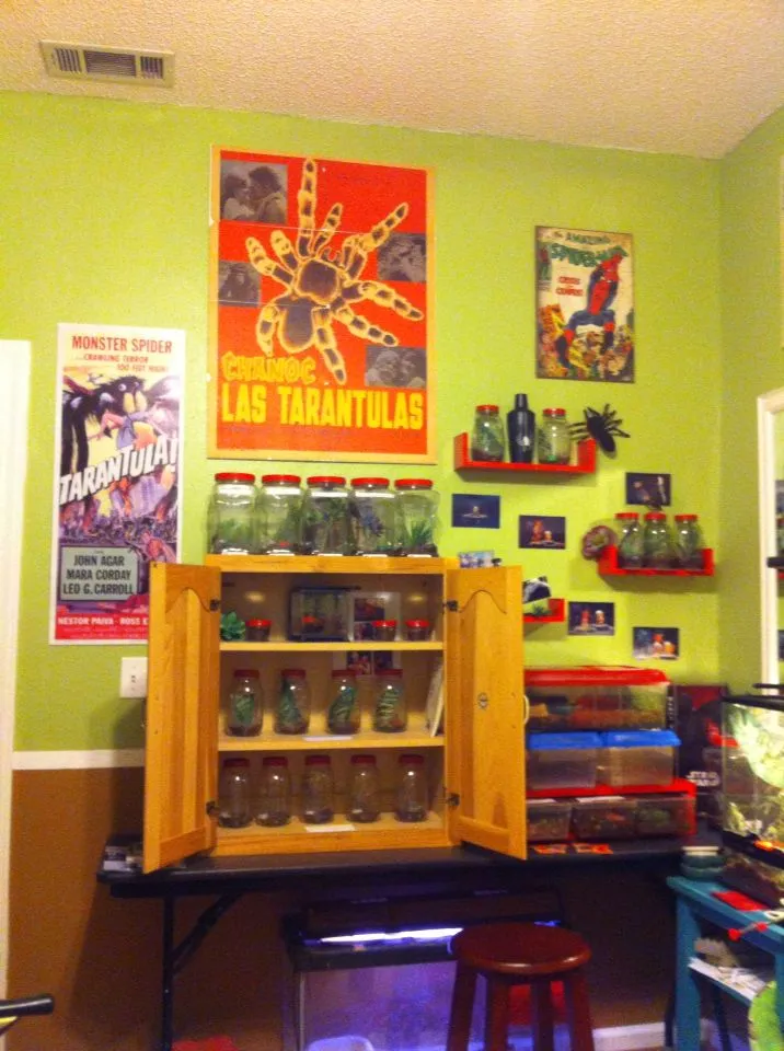 17309 tarantula enclosure