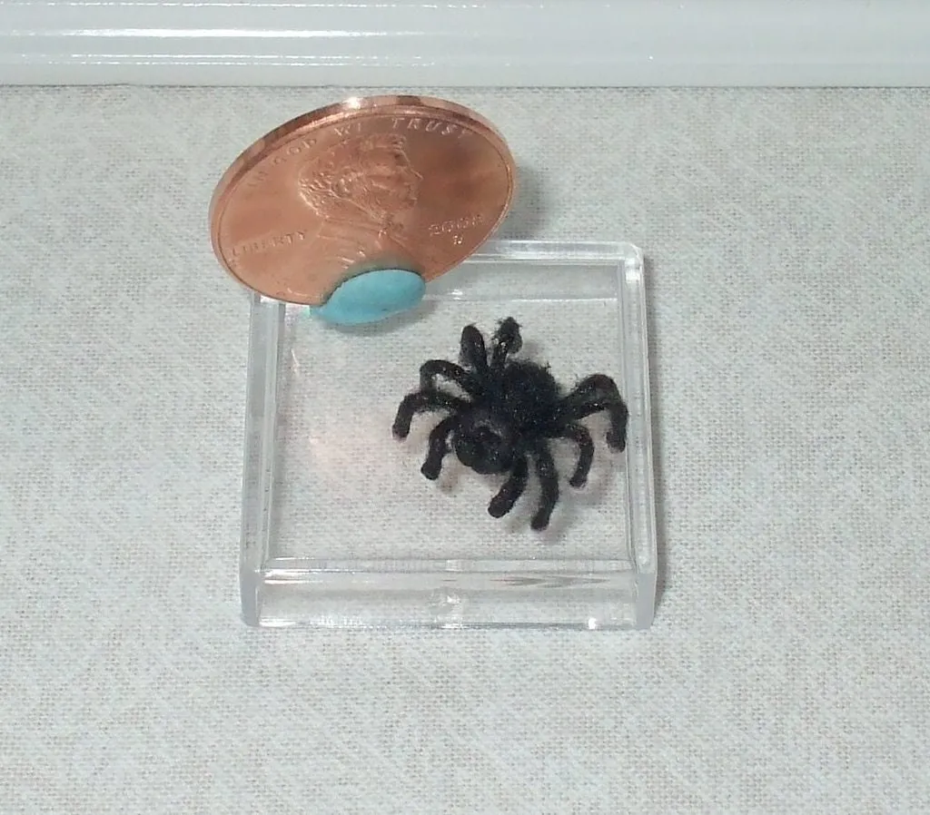 17310 tarantula feeding