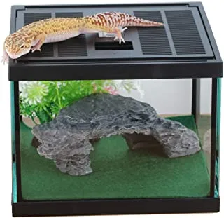 17317 tarantula enclosure ventilation