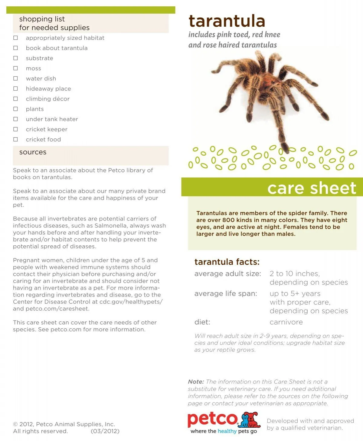 17324 tarantula enclosure