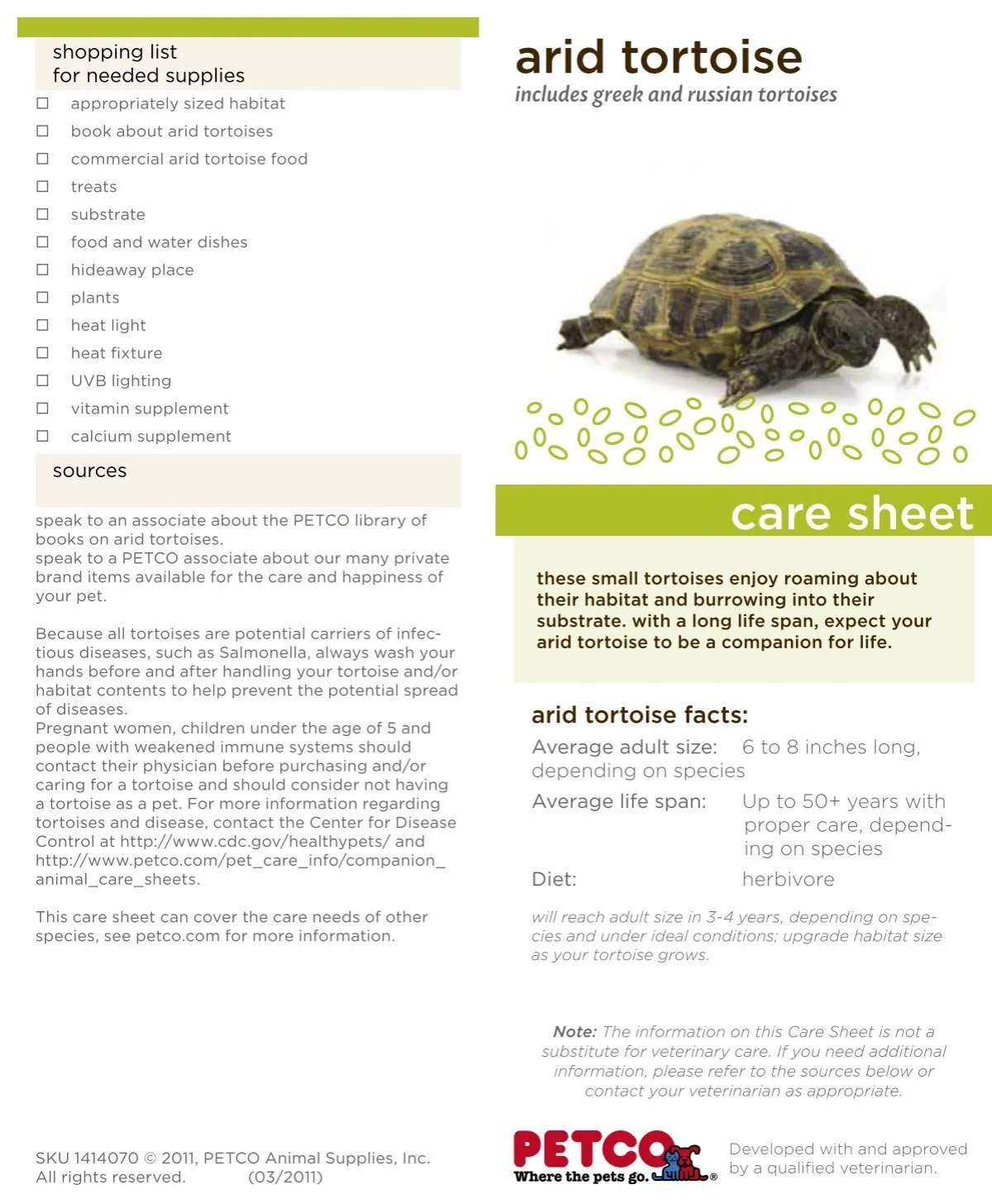/img/17324-tarantula-handling.webp
