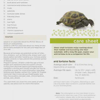 /img/17324-tarantula-handling.webp