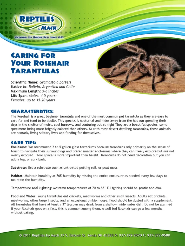 17324 tarantula substrate