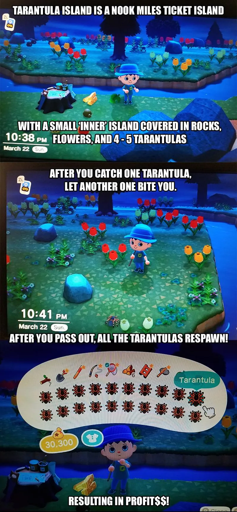 17328 animal crossing tarantula island ground clearing