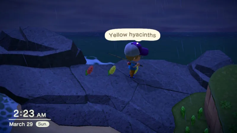 17333 animal crossing tarantula 5