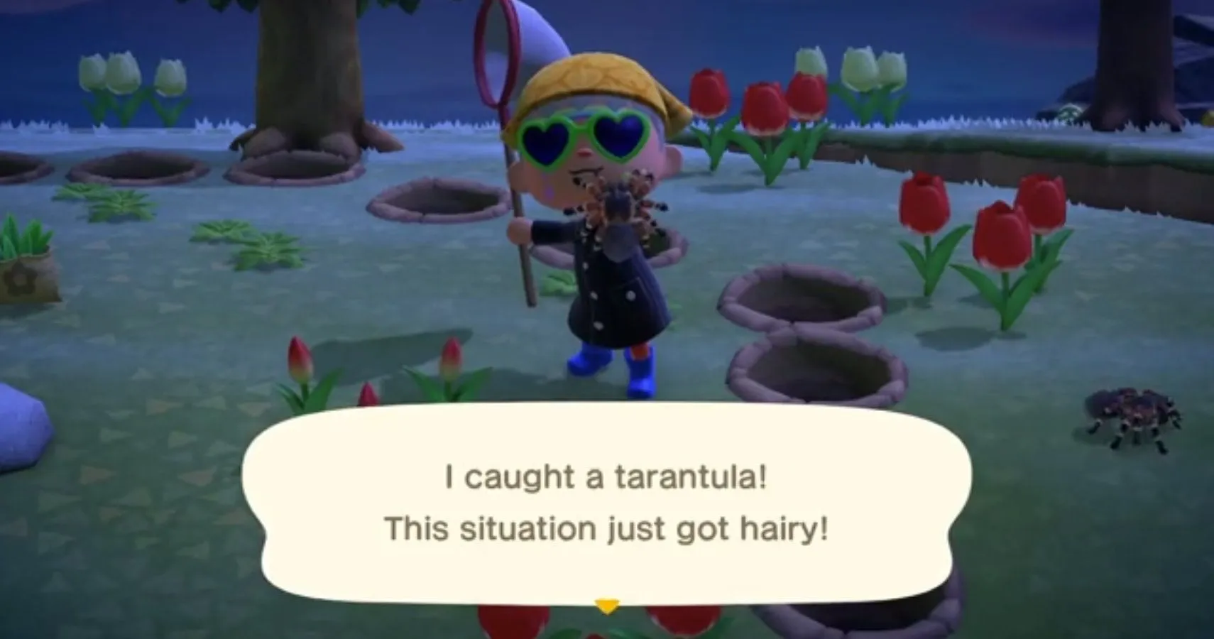 /img/17333-animal-crossing-tarantula-8.webp