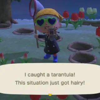 /img/17333-animal-crossing-tarantula-8.webp