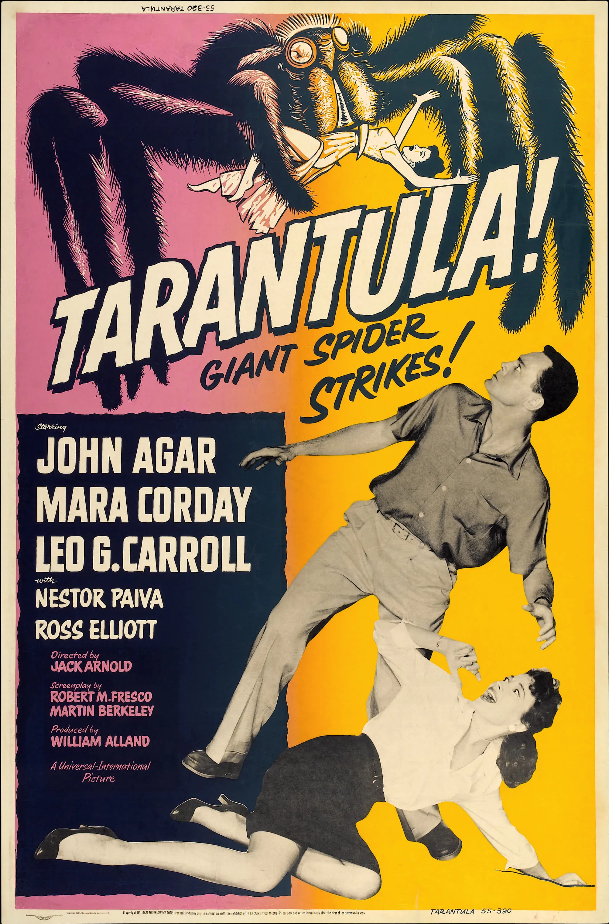 /img/17335-tarantula-themes.webp