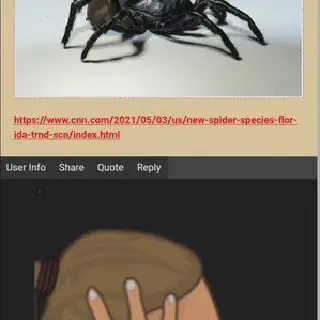 /img/17342-tarantula-mating.webp