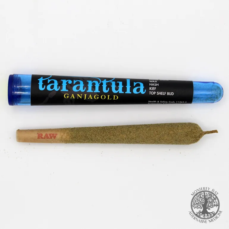 /img/17348-tarantula-legs-user-experience.webp
