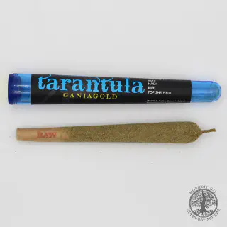 /img/17348-tarantula-legs-user-experience.webp