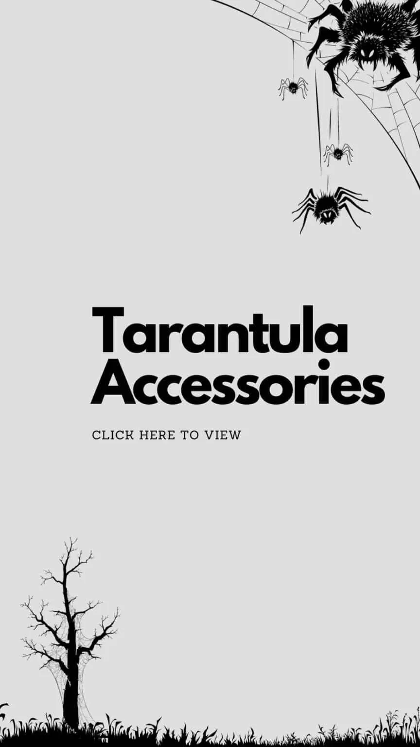 17349 tarantula substrate