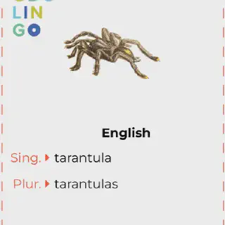 /img/17351-tarantula-ecosistema.webp