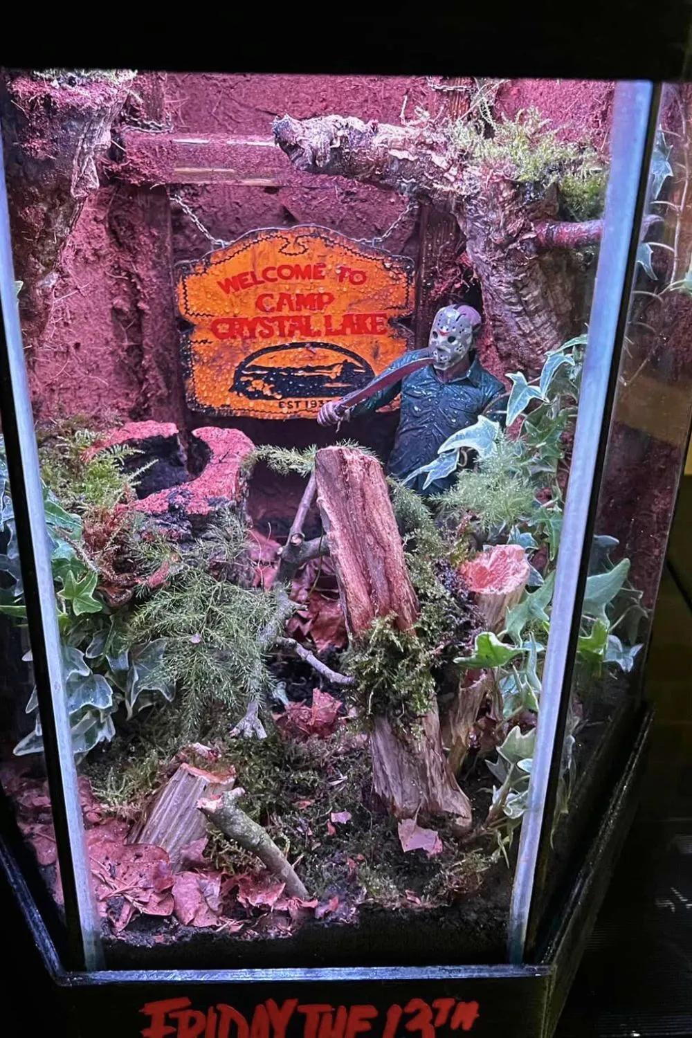 17355 tarantula enclosure cleaning