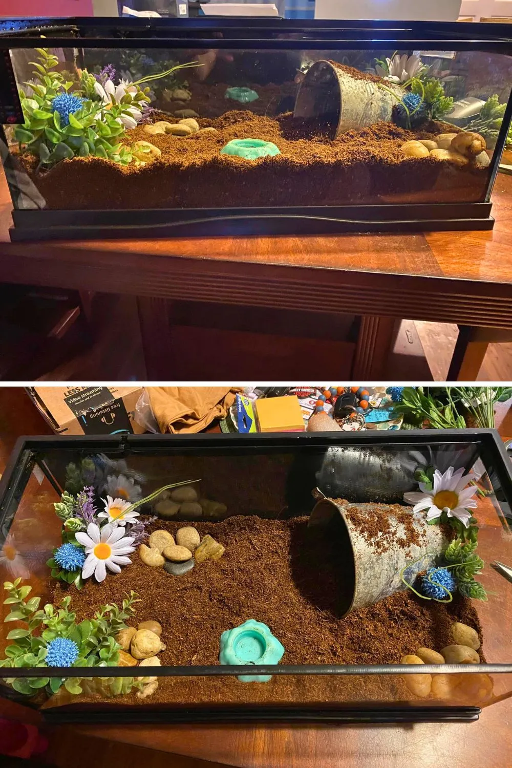 17355 tarantula enclosure decor