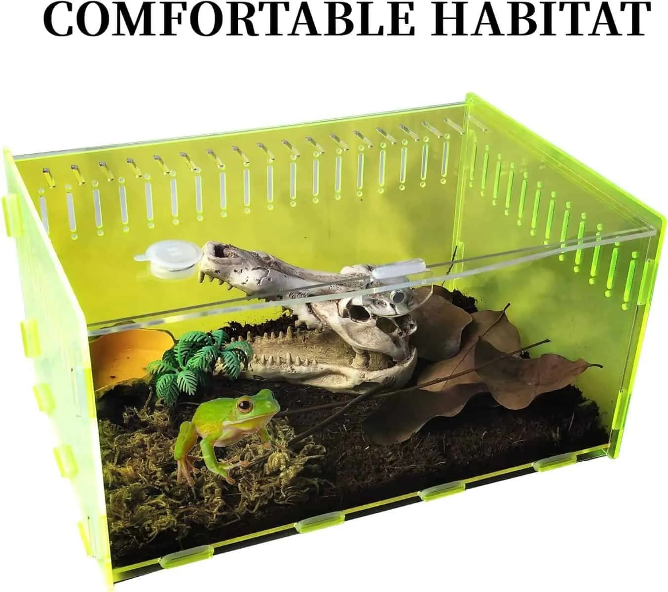 17355 tarantula enclosure feeding