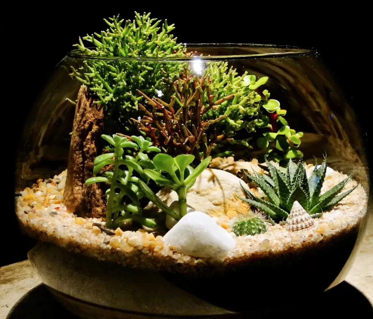 /img/17355-tarantula-enclosure-mistakes.webp