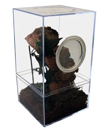 17369 tarantula terrarium heating