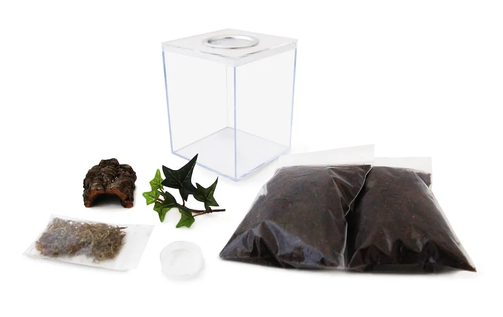 17369 tarantula terrarium size guide