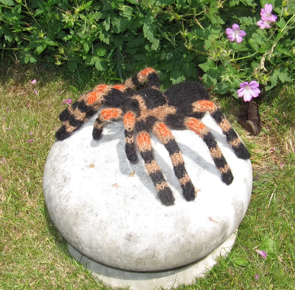 17373 tarantula enclosure