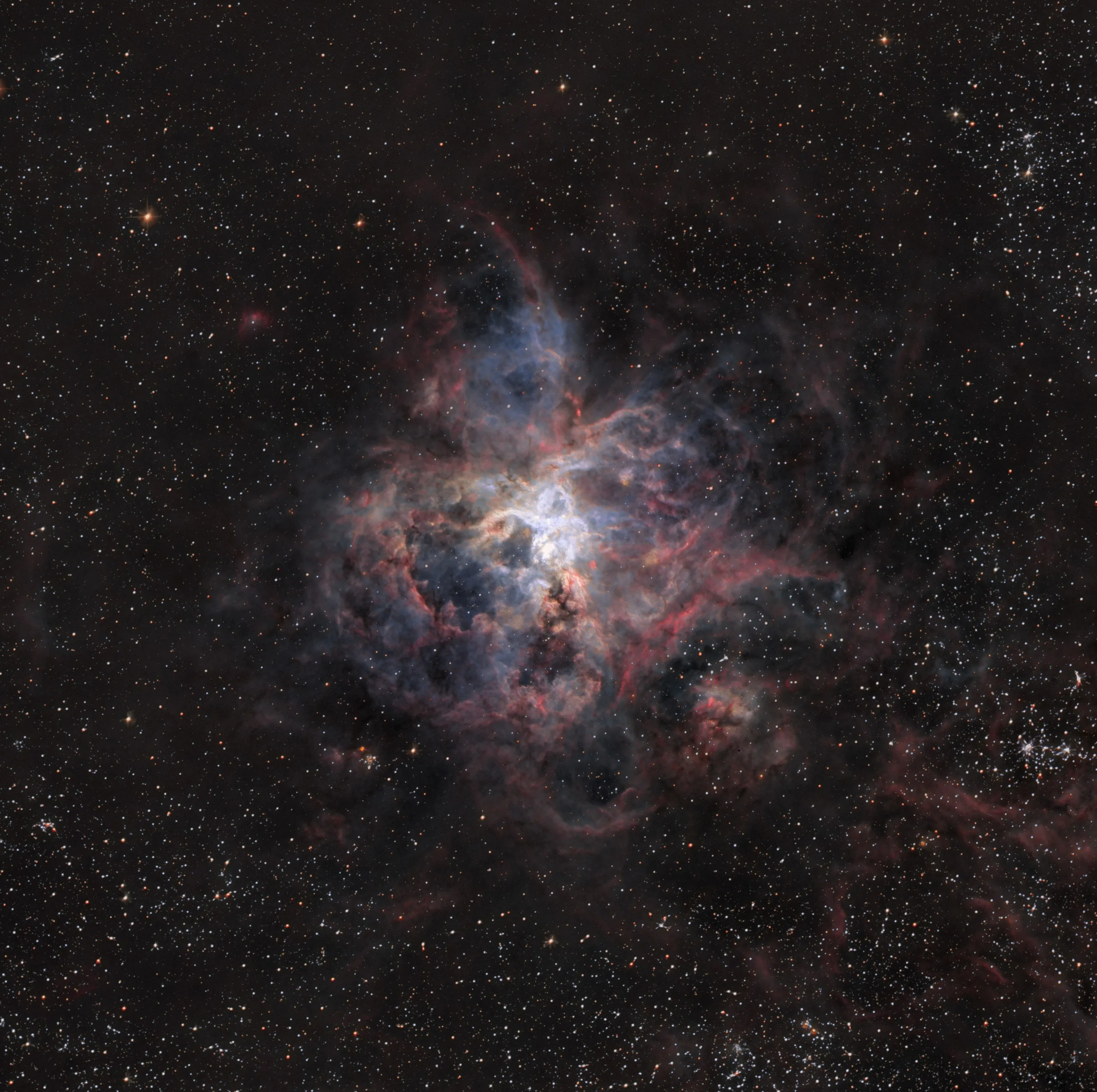 17381 supermassive star formation