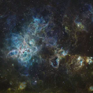 /img/17381-tarantula-nebula-bright.webp