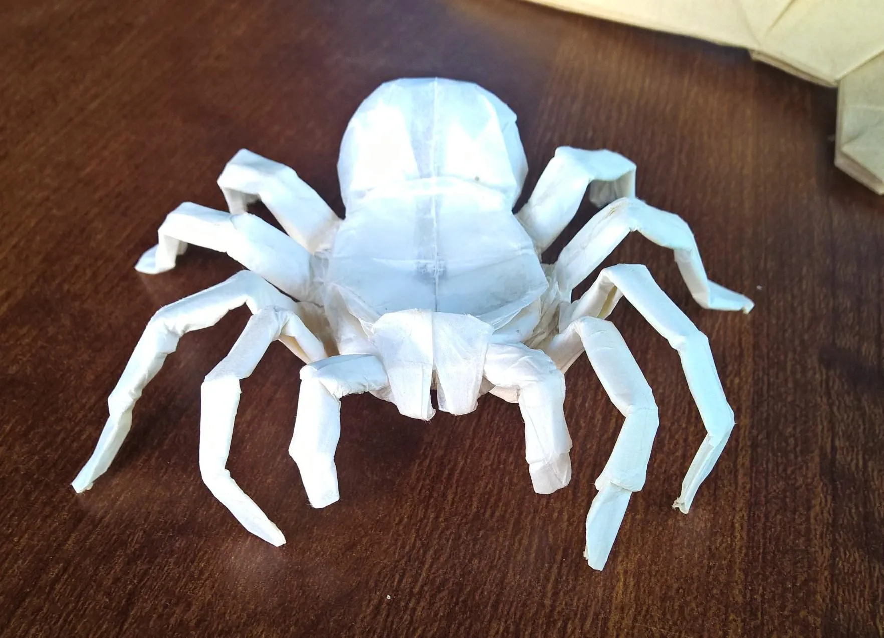/img/17383-origami-tarantula-finished.webp