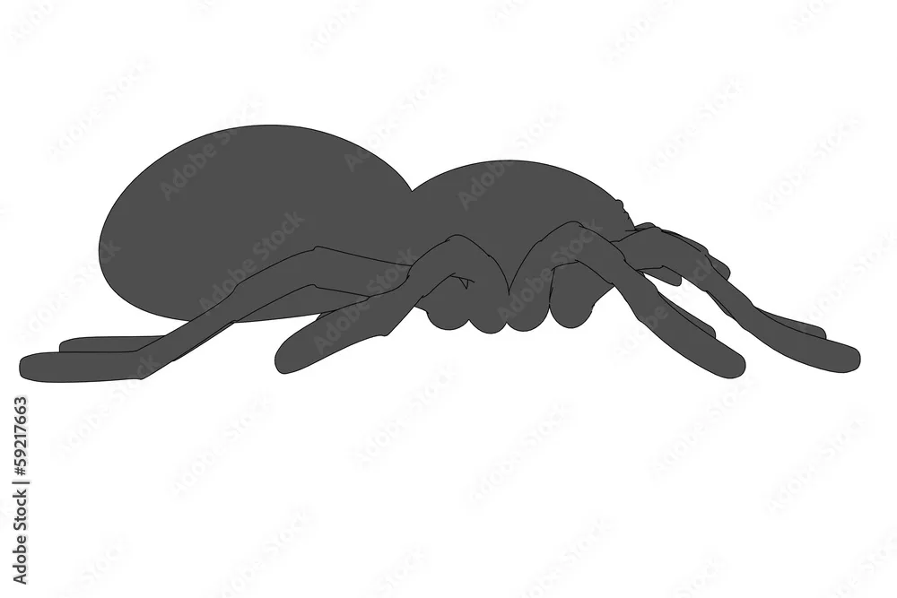 17390 tarantula spider cartoon image4