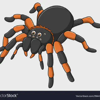 /img/17390-tarantula-spider-cartoon-image8.webp