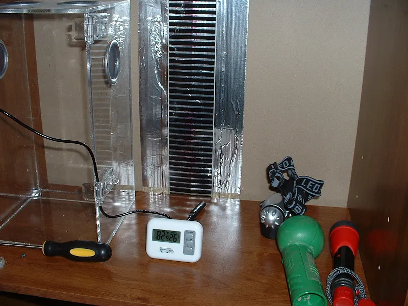 17391 tarantula enclosure