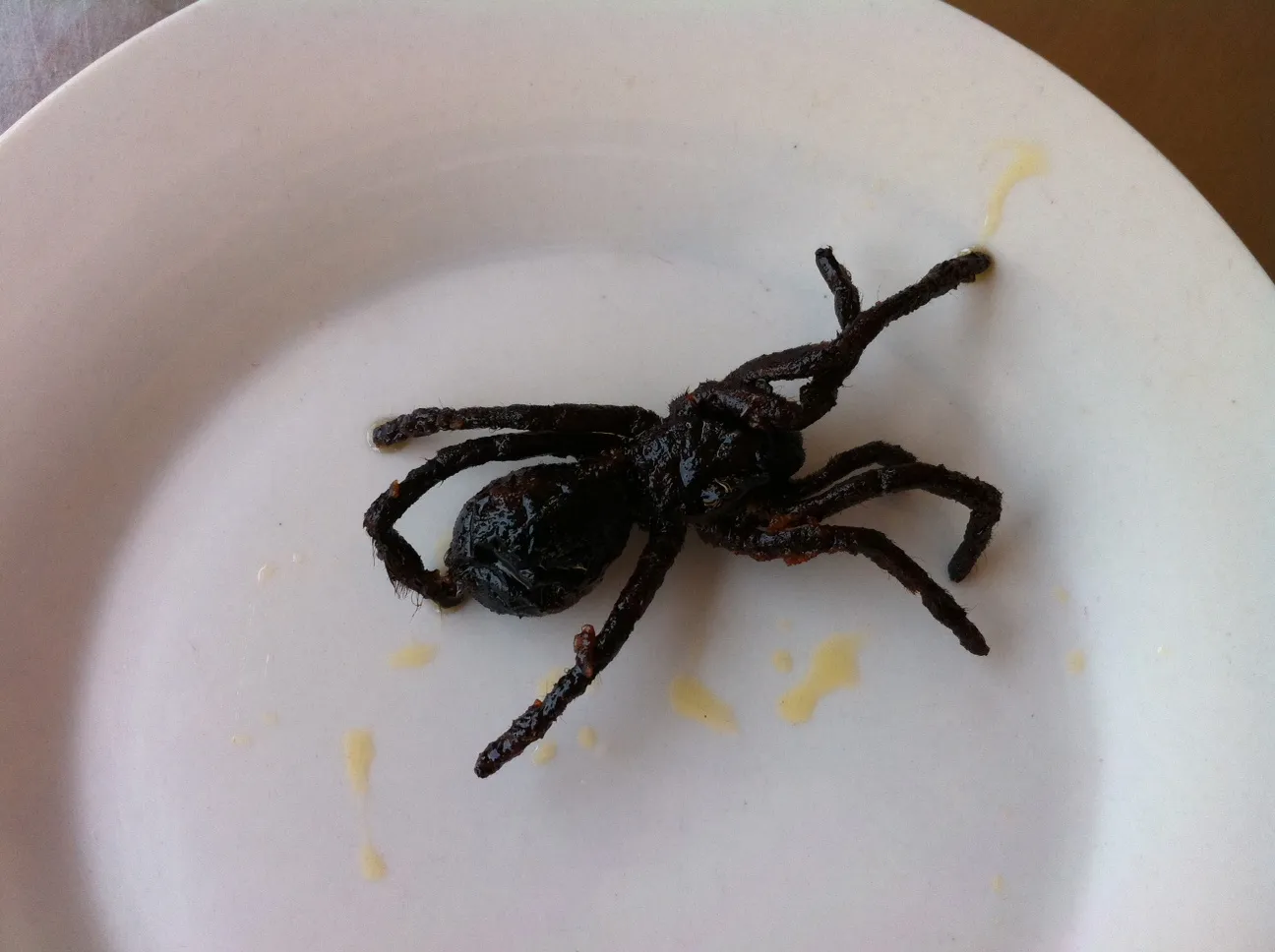 /img/17394-tarantula-close-up.webp