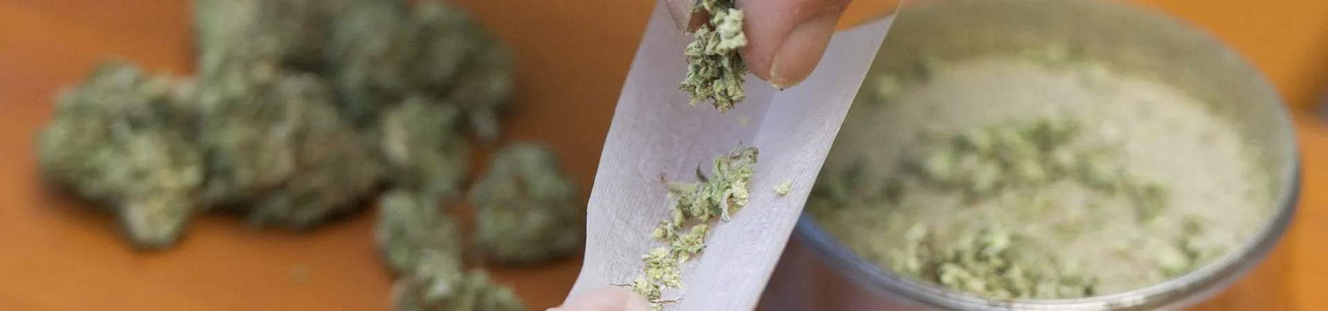 17401 tarantula weed relaxation