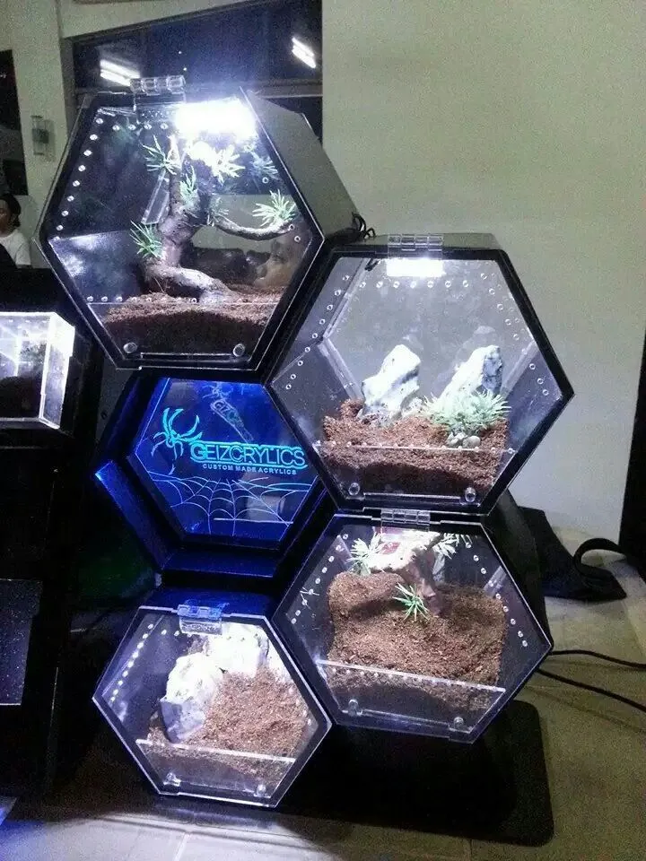 17408 tarantula enclosure size