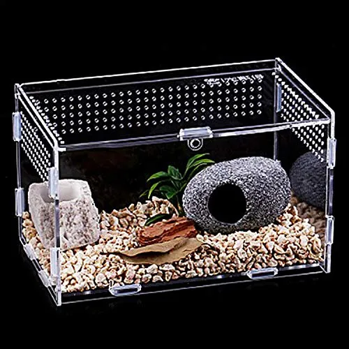 17408 tarantula temperature