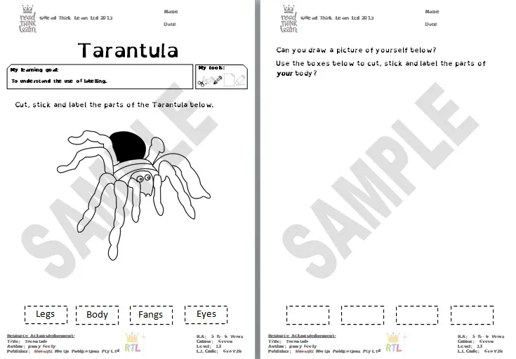 17409 bug reporting tarantula