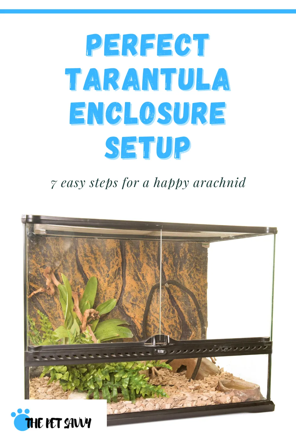 /img/17409-tarantula-ci-cd.webp
