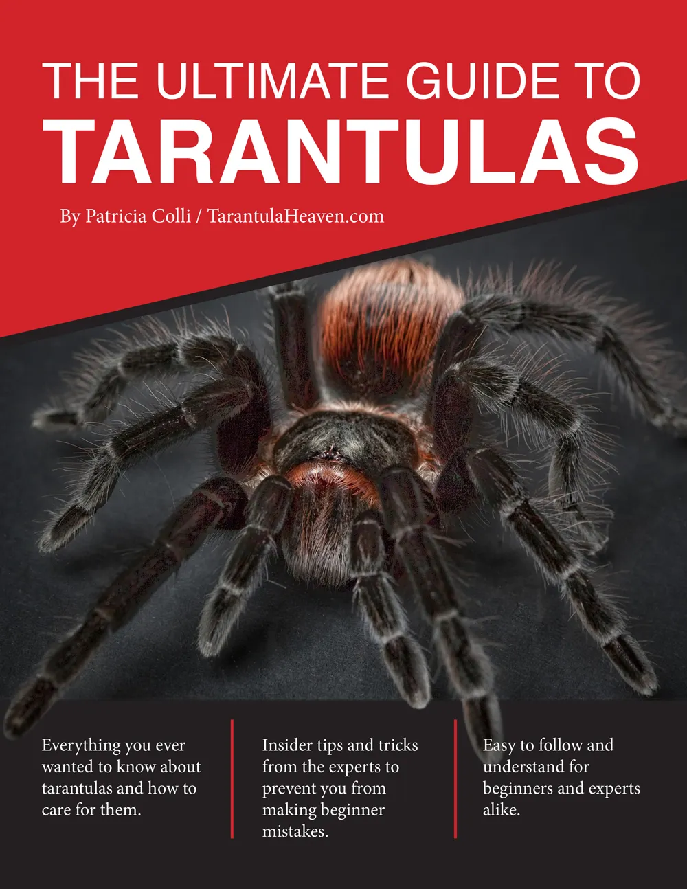 17409 test case creation tarantula