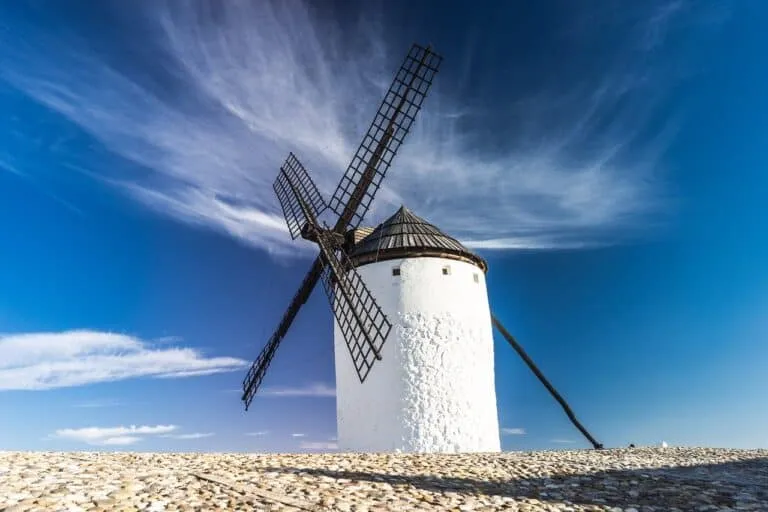 /img/17427-tarantula-dream-help.webp