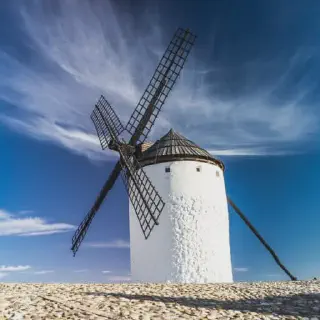 /img/17427-tarantula-dream-help.webp