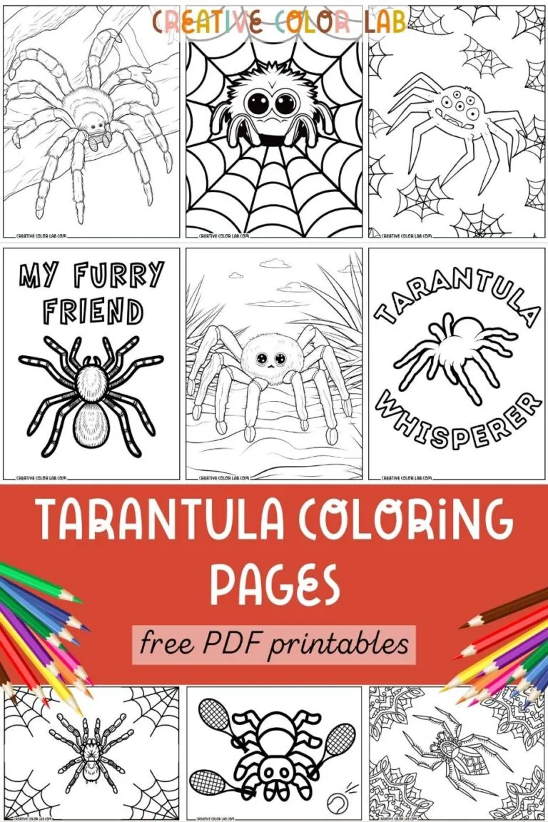 /img/17433-colorato-tarantula-water.webp