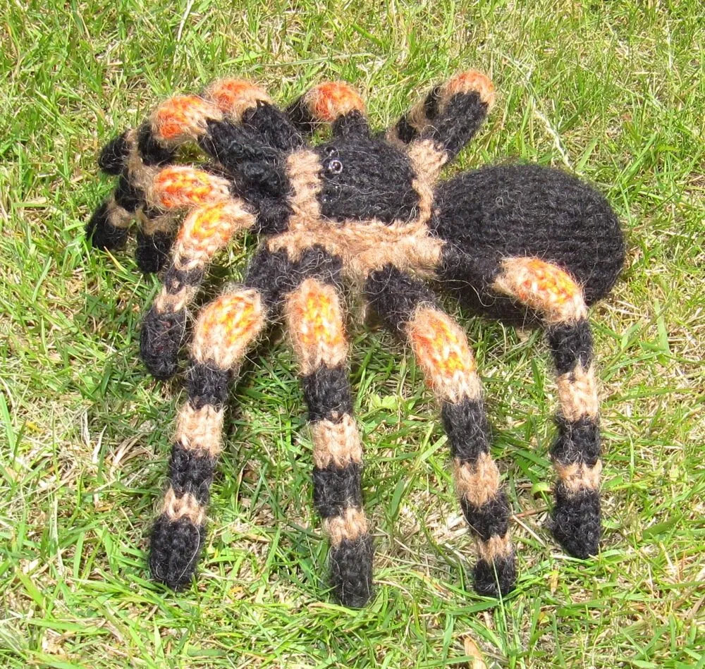 17442 tarantula feeding