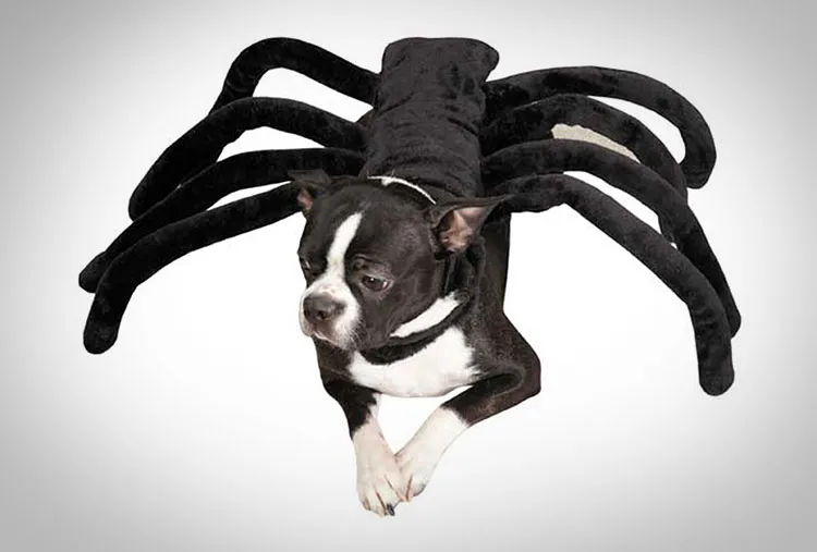 17446 dog costume mobility