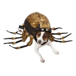 17446 dog costume safety